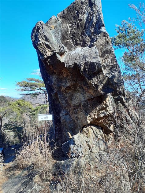 東陵|コース紹介